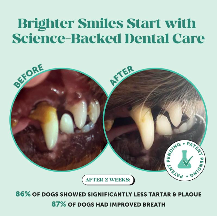 Fresh Breath Dental Powder