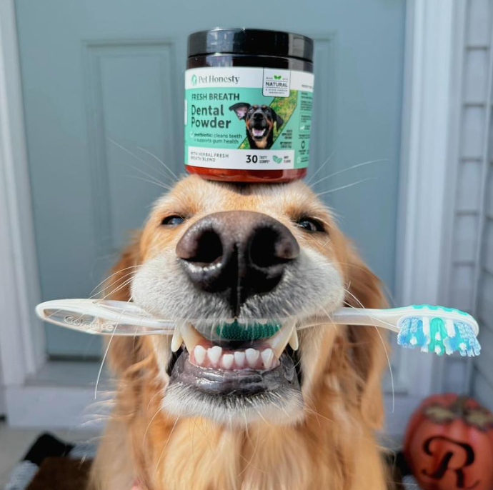 Fresh Breath Dental Powder