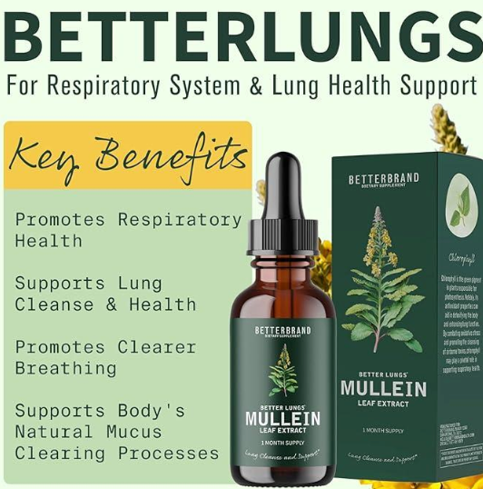 Mullein Leaf + Chlorophyll Detox Drops