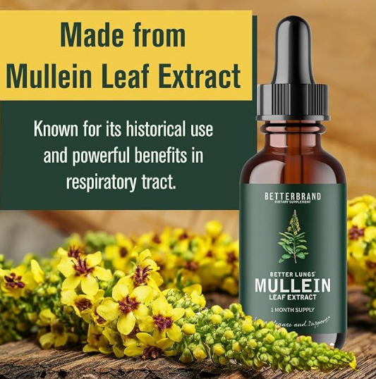 Mullein Leaf + Chlorophyll Detox Drops