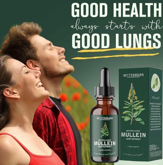 Mullein Leaf + Chlorophyll Detox Drops