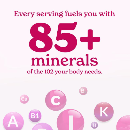 SHE-Lajit - Multi-Mineral Honey Sticks