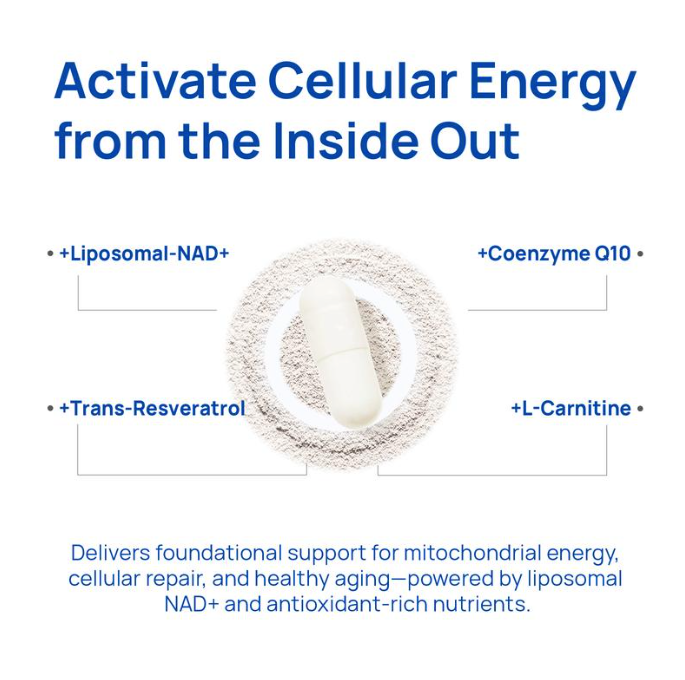 NAD+ Supplement