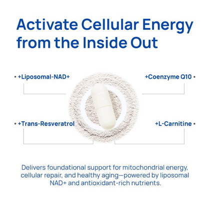 NAD+ Supplement